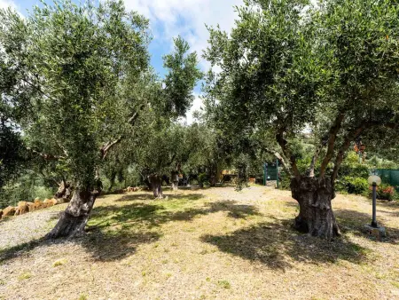 Olive Lodge, Maison 10 personnes à Civezza - Photo 40