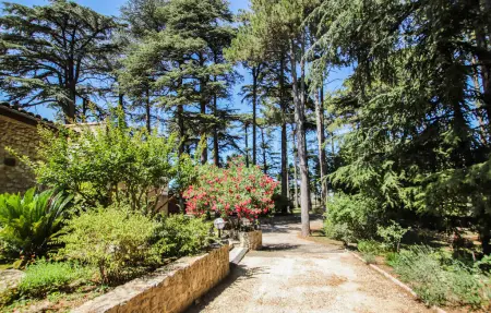 Maison 12 personnes à Saulce sur Rhône - Photo 13