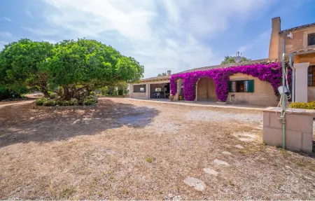 Sa Clota Nova, Maison 6 personnes à Felanitx - Photo 19