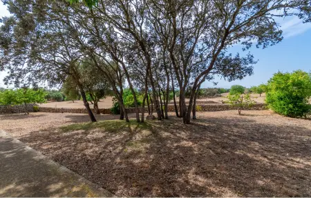 Sa Clota Nova, Maison 6 personnes à Felanitx - Photo 26