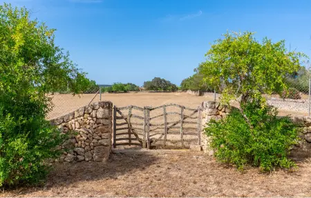 Sa Clota Nova, Maison 6 personnes à Felanitx - Photo 27