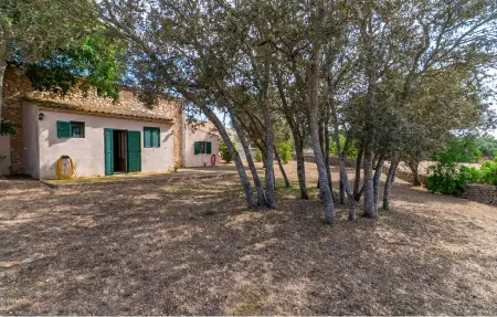 Sa Clota Nova, Maison 6 personnes à Felanitx - Photo 28