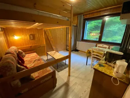 Studio cosy à La Bresse, 18 m² avec équipements - Photo 9