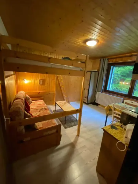Studio cosy à La Bresse, 18 m² avec équipements - Photo 11