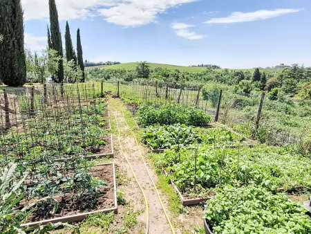 San Regolo, Maison 2 personnes à Gaiole in Chianti - Photo 35