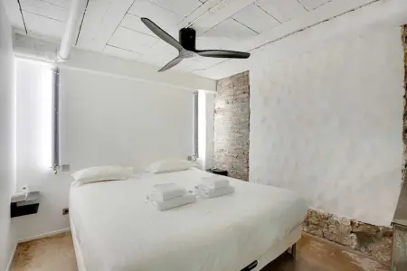 ND-134-CENIS, Loft en Duplex Montmartre - 18e - Photo 8