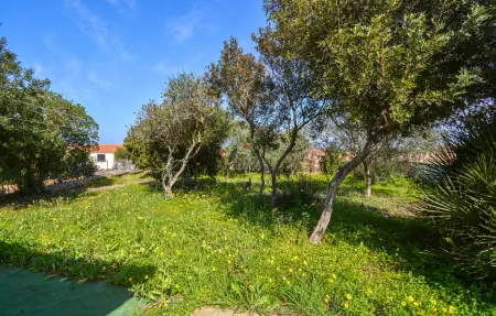 Maison 5 personnes à Torre dei Corsari - Photo 5