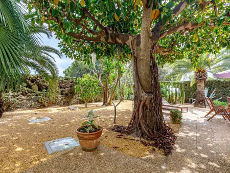 Villa romantique à Altea avec piscine et climatisation pour 6 personnes - Photo 22