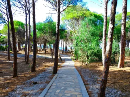 Selema Camping, Maison 5 personnes à La Caletta - Photo 3