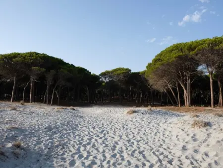 Selema Camping, Maison 5 personnes à La Caletta - Photo 17