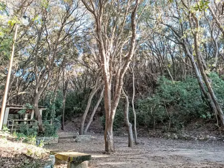 La Conchiglia, Appartement 3 personnes à Castiglioncello - Photo 32