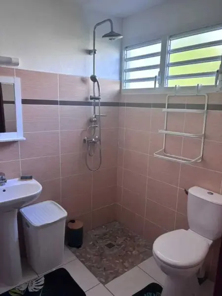 Appartement confortable à Lamentin 60 m² avec jardin - Photo 7