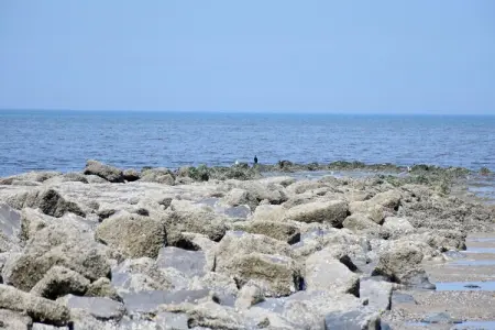 De Rede, Studio en Belgique avec vue sur mer & balcon - Photo 13