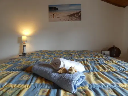 Maison à Fromentine 65m², 4 pers, proche plage, park - Photo 31