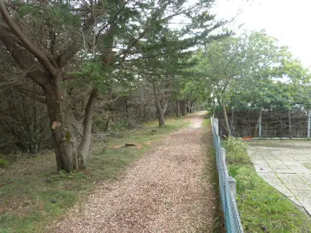 Maison mitoyenne à Barbâtre près de la plage - 4/6 personnes - Animaux admis - Photo 1
