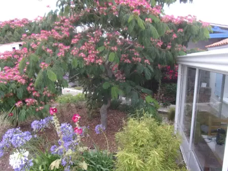 Maison 4 pers. avec jardin clos - 400m plage, L'Épine - Photo 4