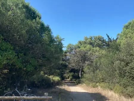 Maison 5 personnes à Barbâtre, proche plage, animaux admis - Photo 8