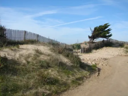 Maison proche plage pour 8/9 pers - Animaux acceptés - Photo 14
