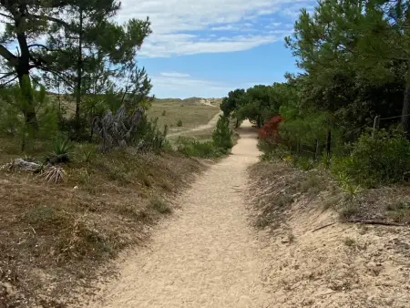 Maison spacieuse à Barbâtre, proche plage, pour 8 personnes - Photo 17