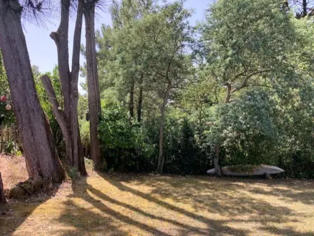 La Guérinière : Maison 5 pers, jardin, animaux admis - Photo 3
