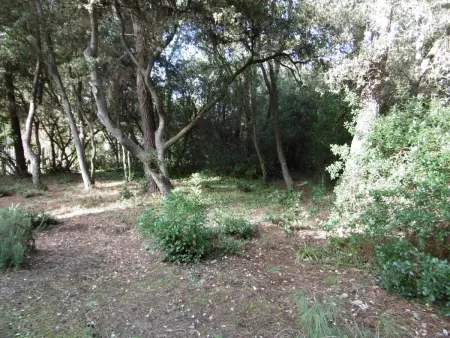Villa 6 Pers à Noirmoutier avec Accès Direct à la Plage - Animaux Bienvenus - Photo 1