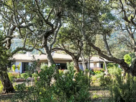 La Cupulatta, Villa 10 personnes à Sainte Lucie Porto Vecchio - Photo 24