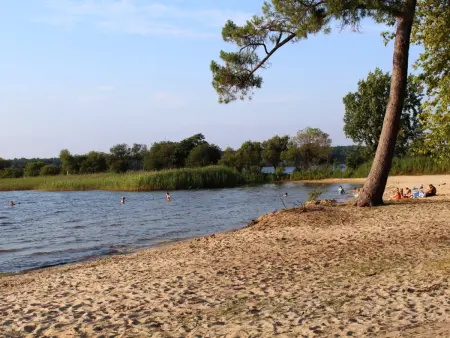 Maison 4 chambres avec piscine, à 8 min du lac de Sanguinet - Photo 3