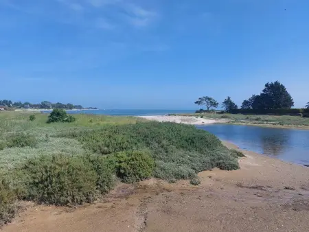 Maison moderne à Réville, proche plage, animaux admis - Photo 21