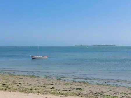 Maison moderne à Réville, proche plage, animaux admis - Photo 22