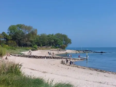 Maison moderne à Réville, proche plage, animaux admis - Photo 24