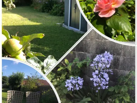 Maison de charme à St-Vaast avec jardin clos, Gite 6 personnes à Saint Vaast la Hougue - Photo 21