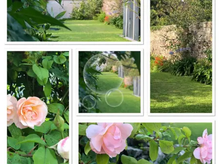 Maison de charme à St-Vaast avec jardin clos, Gite 6 personnes à Saint Vaast la Hougue - Photo 23