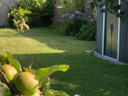 Maison de charme à St-Vaast avec jardin clos, Gite 6 personnes à Saint Vaast la Hougue - Photo 24
