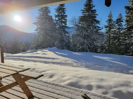 V du Bachat Arolles A, Appartement 4 personnes à Chamrousse - Photo 24