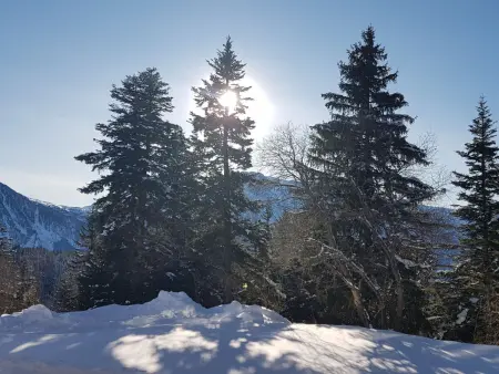 V du Bachat Arolles A, Appartement 4 personnes à Chamrousse - Photo 26