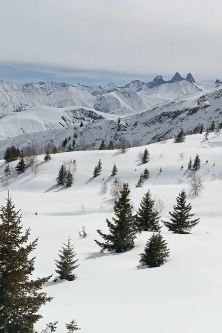 Les Ecureuils B, Appartement 3 personnes à Saint Sorlin d'Arves - Photo 16