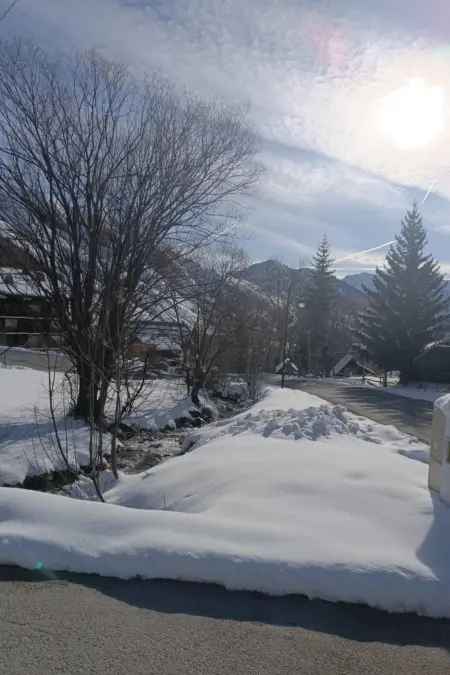 Les Ecureuils B, Appartement 3 personnes à Saint Sorlin d'Arves - Photo 17