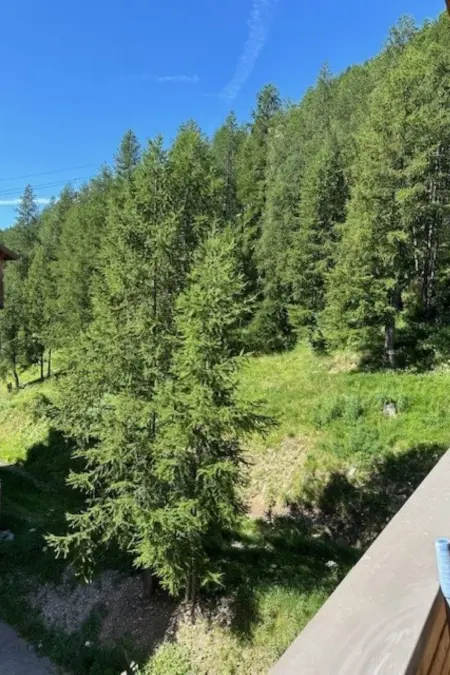 C. du Verdon, Appartement 4 personnes à La Foux D'Allos - Photo 4
