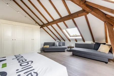 Hoeve Heiligenbron met tweepersoonsstudio, Retraite de luxe avec des amis à quatre pattes - Photo 11