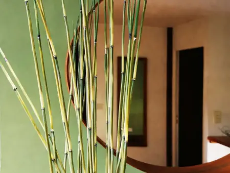 Appartement 56m² avec terrasse, vue mer et accès plage - Photo 6