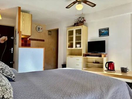 Appartement 2 pièces avec loggia vue mer, animaux admis - La Londe-les-Maures - Photo 7