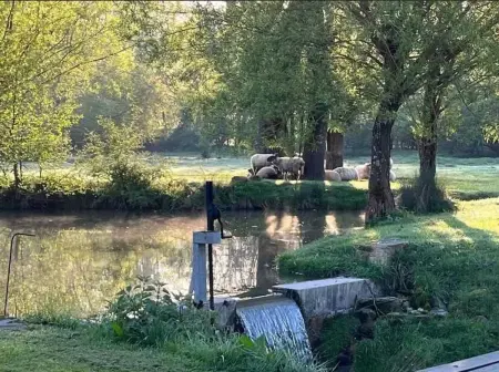Maison de charme à Beaumont-Village avec piscine privée - Photo 23