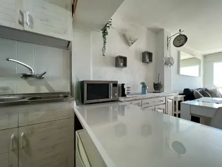 Appartement en bord de mer avec WiFi et animaux acceptés à Pineda de Mar - Photo 7