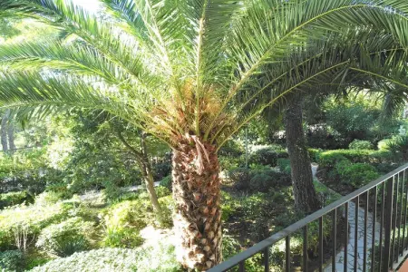 Cliper B-2, Appartement en Espagne près de plage - Photo 17