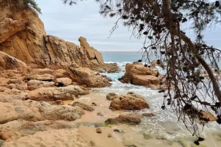 Maer, Villa à Blanes avec Piscine et Vue Mer - Photo 37