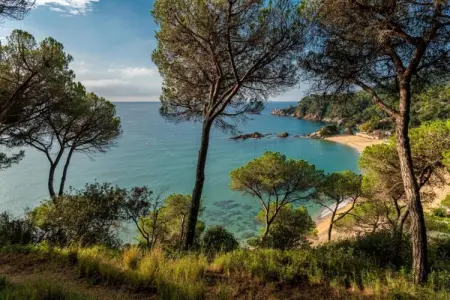 Palmeras, Villa sur la Costa Brava avec vue mer & piscine - Photo 21