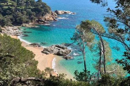 Palmeras, Villa sur la Costa Brava avec vue mer & piscine - Photo 35