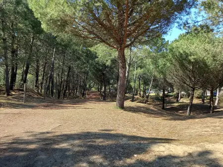 Appartement rénové, lumineux proche plage avec parking - Photo 8