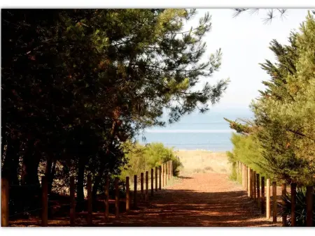 Appartement rénové, lumineux proche plage avec parking - Photo 9