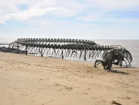 Appartement rénové, lumineux proche plage avec parking - Photo 10